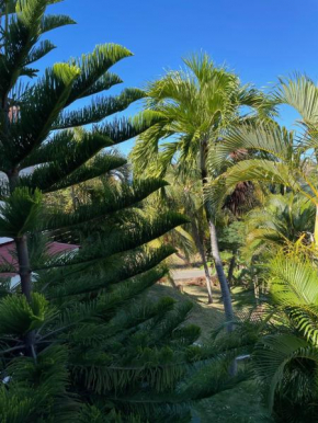 JARDIN SUR MER